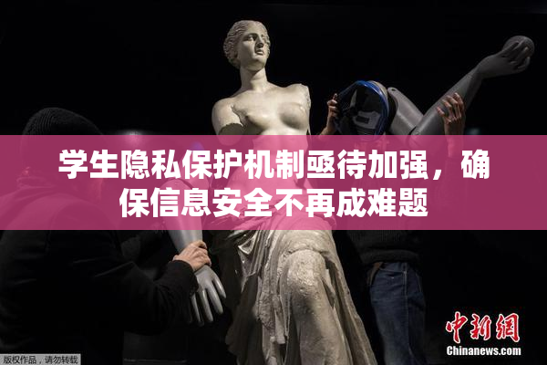 学生隐私保护机制亟待加强，确保信息安全不再成难题