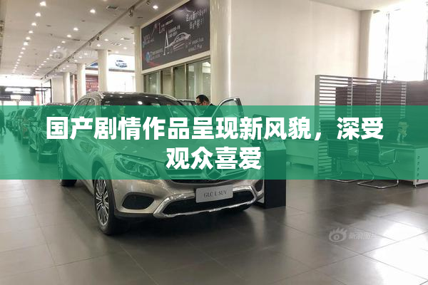 国产剧情作品呈现新风貌，深受观众喜爱