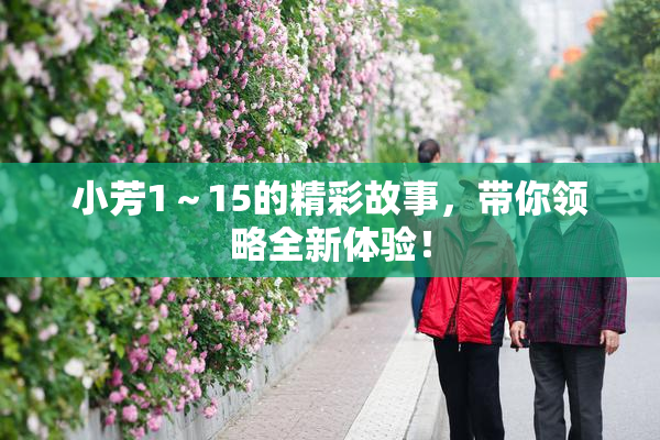 小芳1～15的精彩故事，带你领略全新体验！