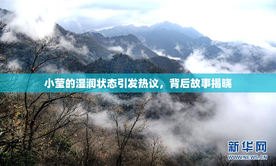 小莹的湿润状态引发热议，背后故事揭晓