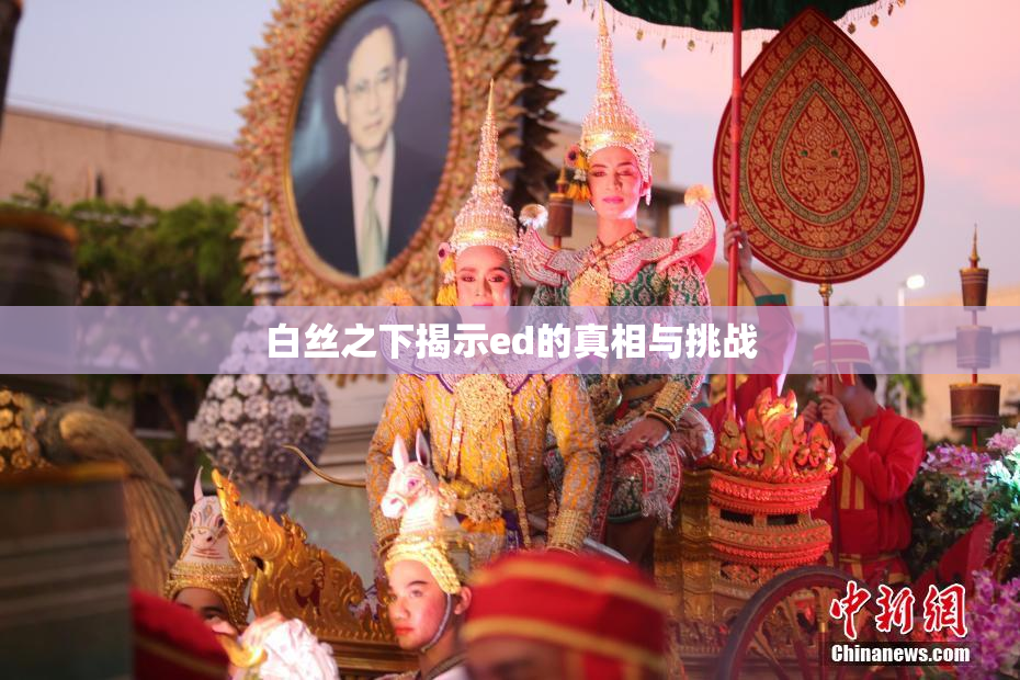 白丝之下揭示ed的真相与挑战