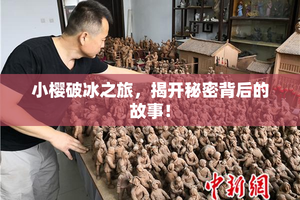 小樱破冰之旅，揭开秘密背后的故事！