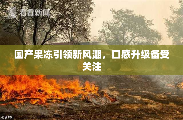 国产果冻引领新风潮，口感升级备受关注