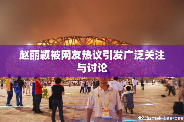 赵丽颖被网友热议引发广泛关注与讨论