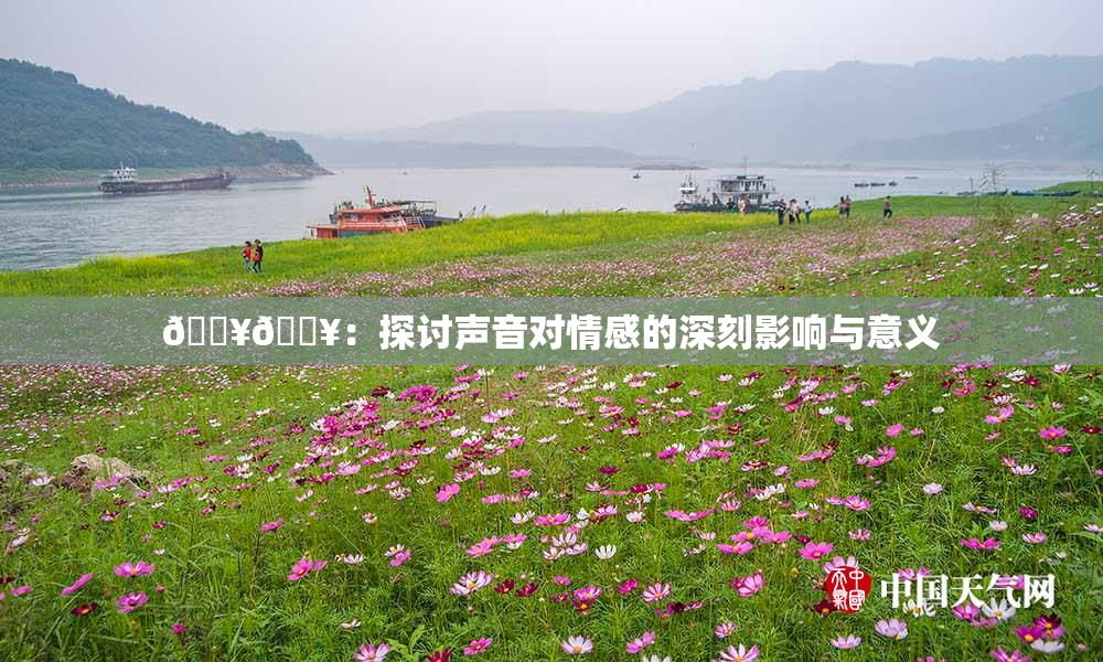 🔥🔥：探讨声音对情感的深刻影响与意义