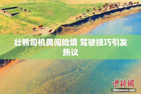 壮熊司机勇闯险境 驾驶技巧引发热议