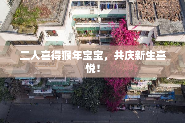 二人喜得猴年宝宝，共庆新生喜悦！