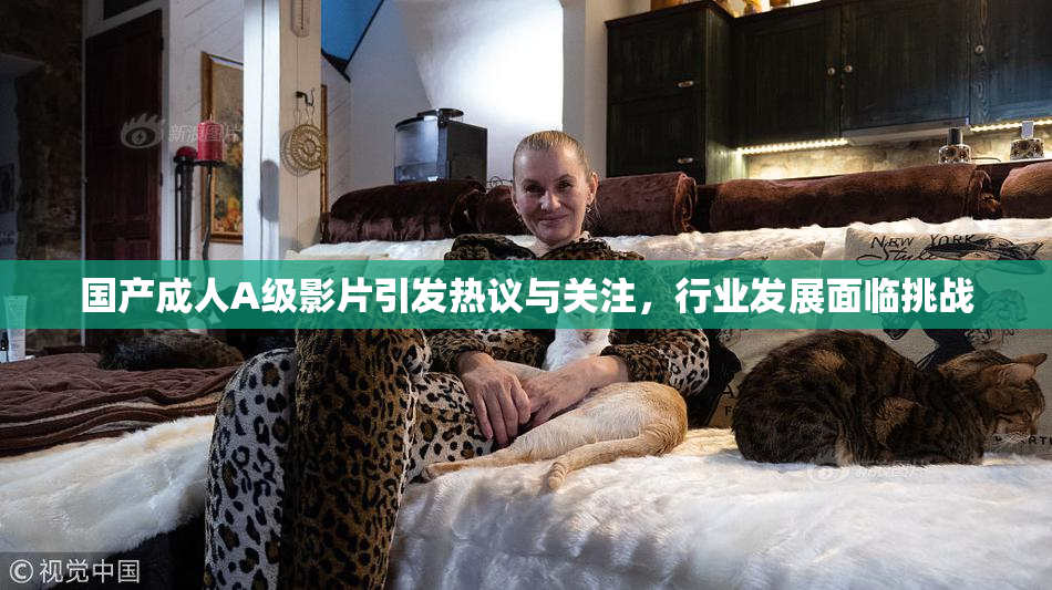 国产成人A级影片引发热议与关注，行业发展面临挑战