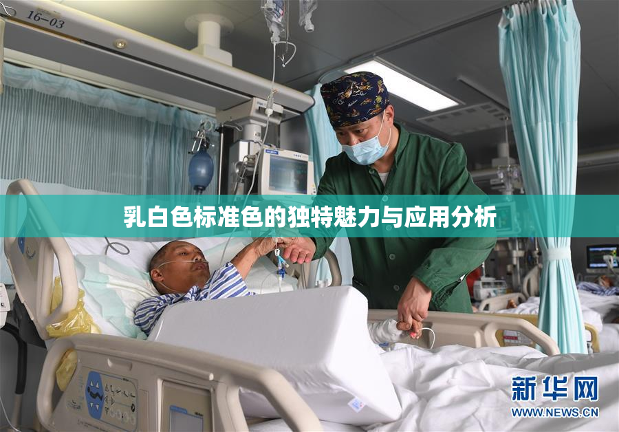 乳白色标准色的独特魅力与应用分析