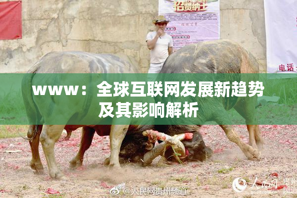 www：全球互联网发展新趋势及其影响解析