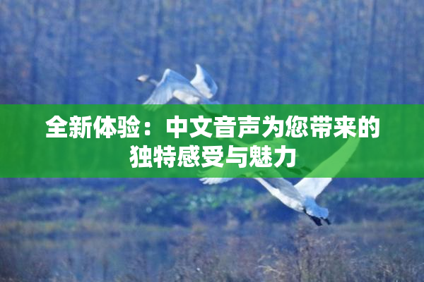 全新体验：中文音声为您带来的独特感受与魅力
