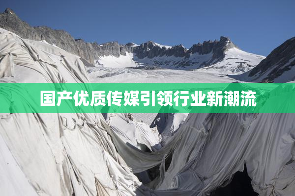 国产优质传媒引领行业新潮流