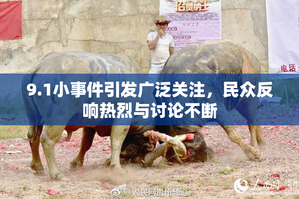 9.1小事件引发广泛关注，民众反响热烈与讨论不断