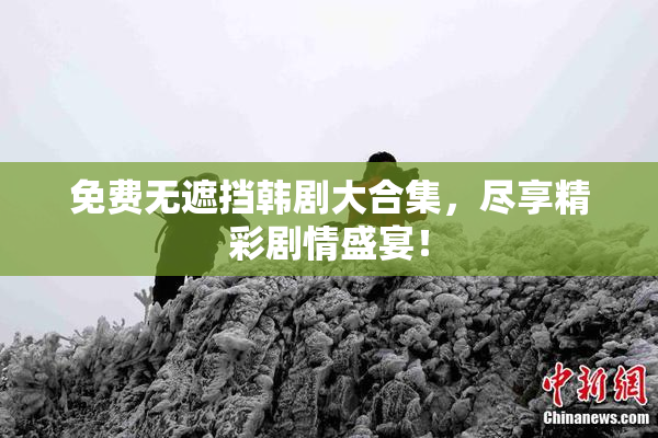 免费无遮挡韩剧大合集，尽享精彩剧情盛宴！