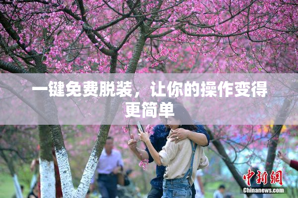 一键免费脱装，让你的操作变得更简单