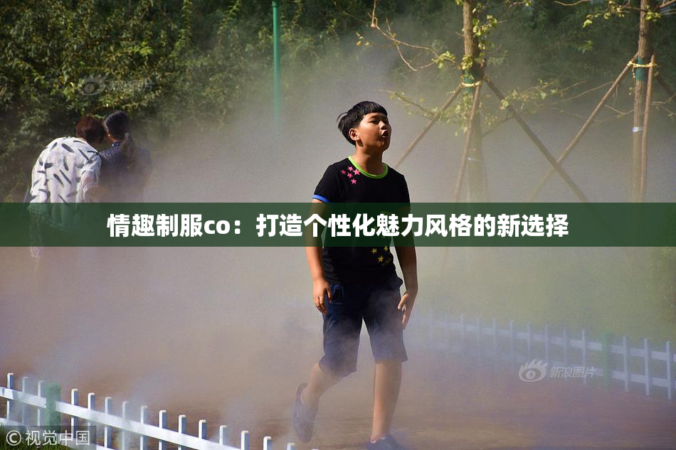 情趣制服co：打造个性化魅力风格的新选择