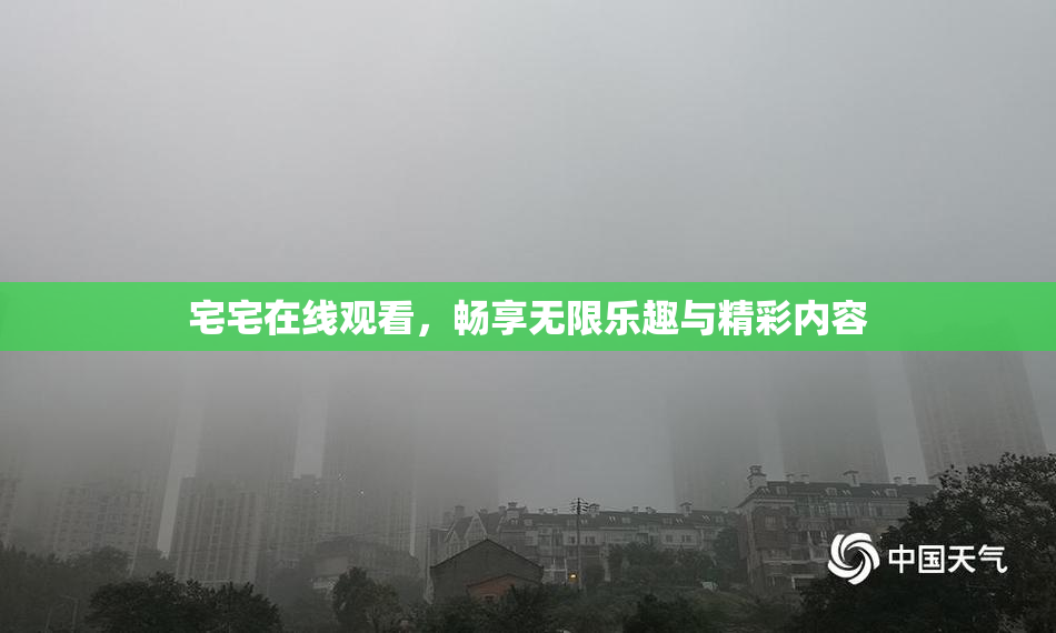 宅宅在线观看，畅享无限乐趣与精彩内容