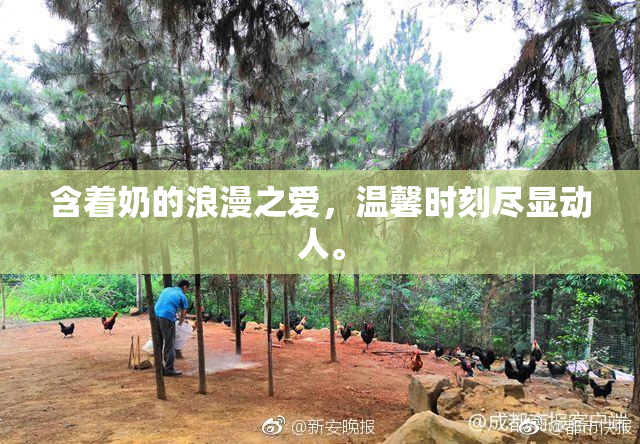 含着奶的浪漫之爱，温馨时刻尽显动人。
