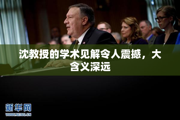 沈教授的学术见解令人震撼，大含义深远