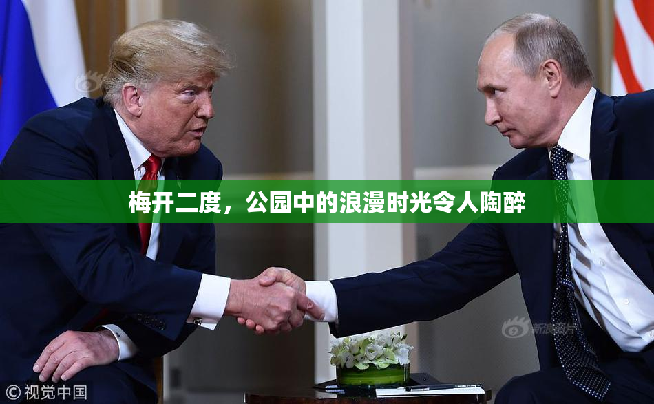 梅开二度，公园中的浪漫时光令人陶醉