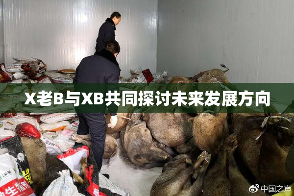 X老B与XB共同探讨未来发展方向