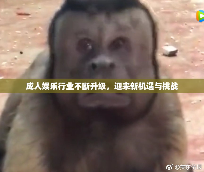 成人娱乐行业不断升级，迎来新机遇与挑战