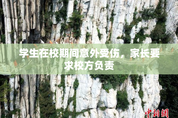 学生在校期间意外受伤，家长要求校方负责
