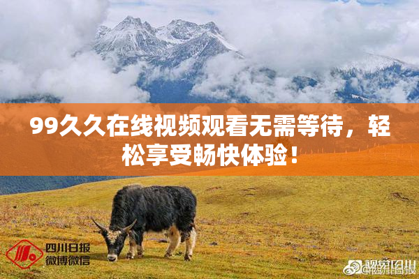 99久久在线视频观看无需等待，轻松享受畅快体验！