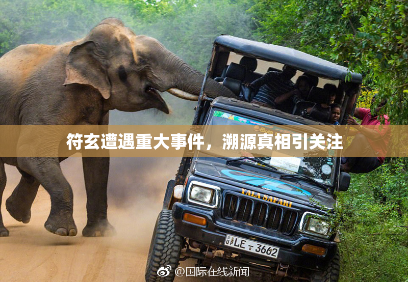 符玄遭遇重大事件，溯源真相引关注