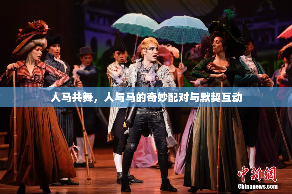 人马共舞，人与马的奇妙配对与默契互动