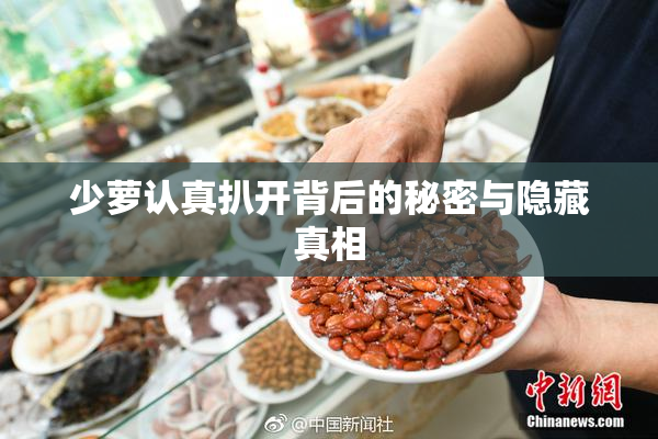 少萝认真扒开背后的秘密与隐藏真相