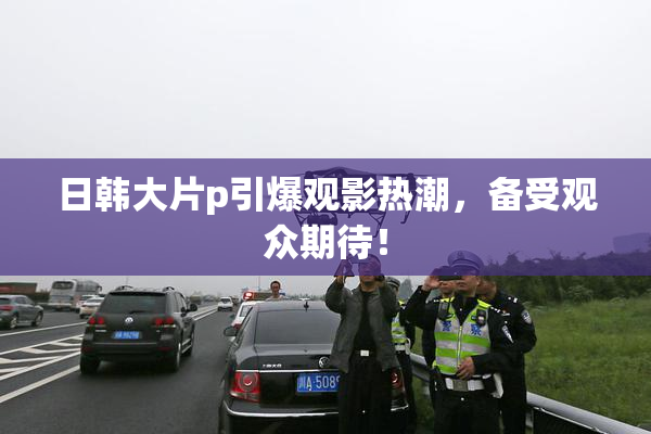 日韩大片p引爆观影热潮，备受观众期待！