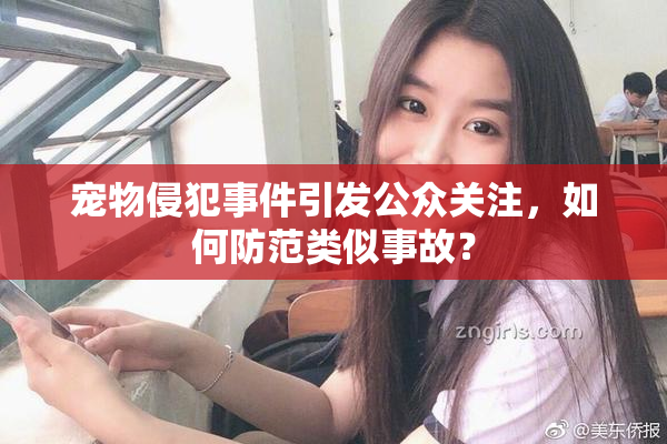 宠物侵犯事件引发公众关注，如何防范类似事故？