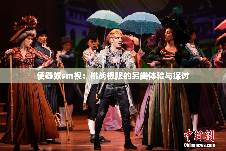 便器奴sm视：挑战极限的另类体验与探讨
