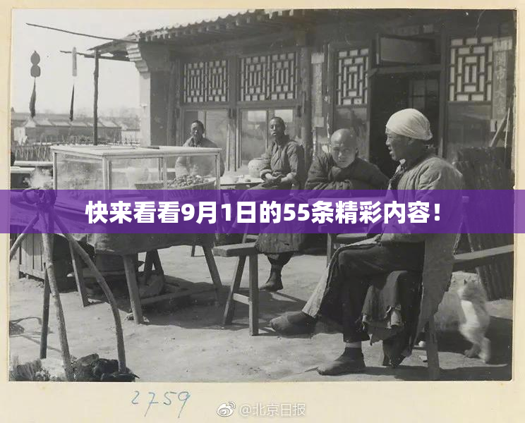 快来看看9月1日的55条精彩内容！