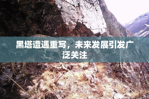黑塔遭遇重写，未来发展引发广泛关注