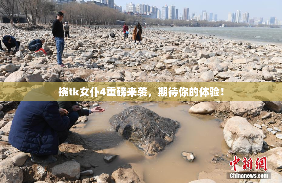 挠tk女仆4重磅来袭，期待你的体验！