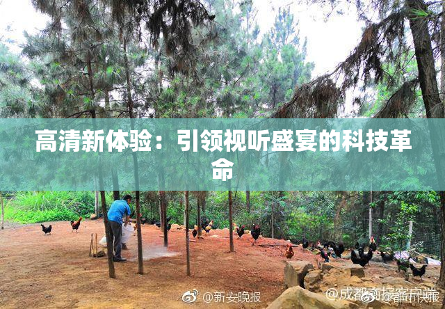 高清新体验：引领视听盛宴的科技革命