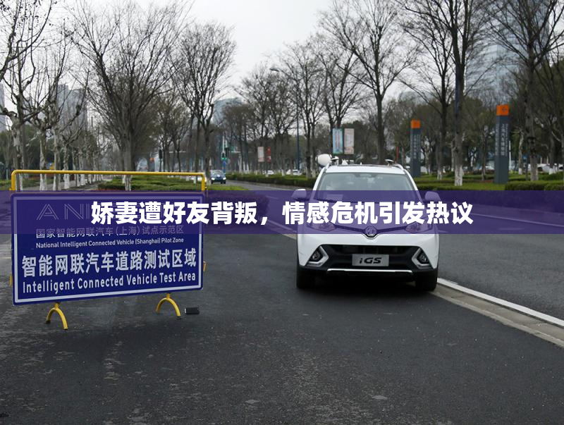 娇妻遭好友背叛，情感危机引发热议
