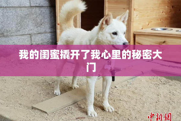 我的闺蜜撬开了我心里的秘密大门