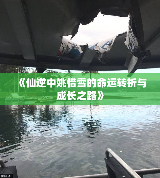 《仙逆中姚惜雪的命运转折与成长之路》