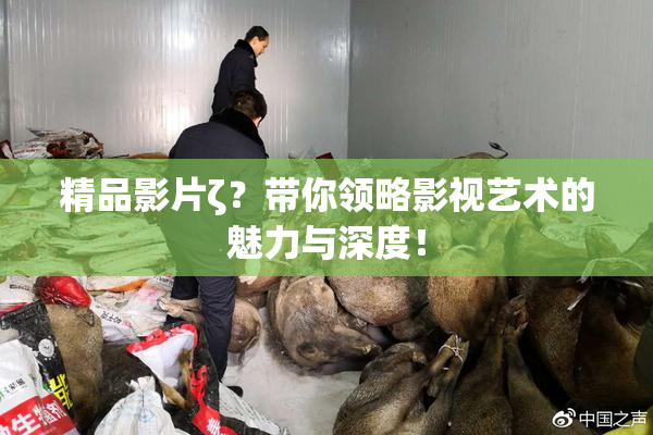 精品影片ζ？带你领略影视艺术的魅力与深度！