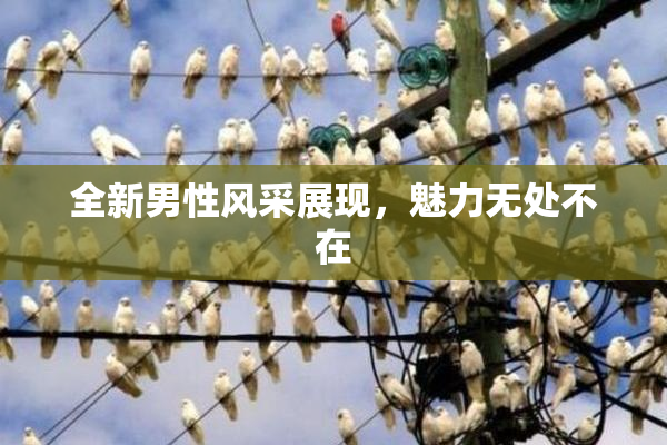 全新男性风采展现，魅力无处不在