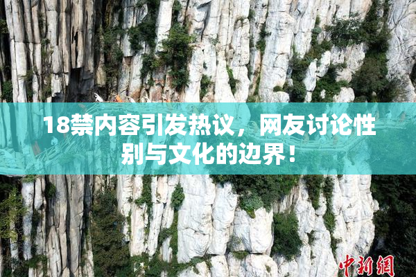 18禁内容引发热议，网友讨论性别与文化的边界！