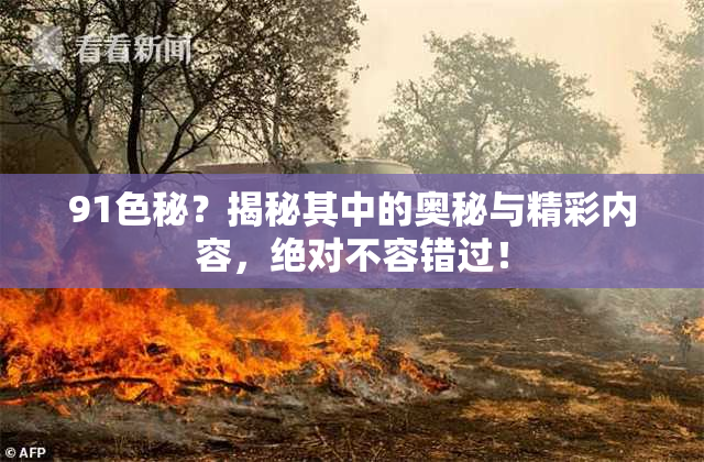 91色秘？揭秘其中的奥秘与精彩内容，绝对不容错过！