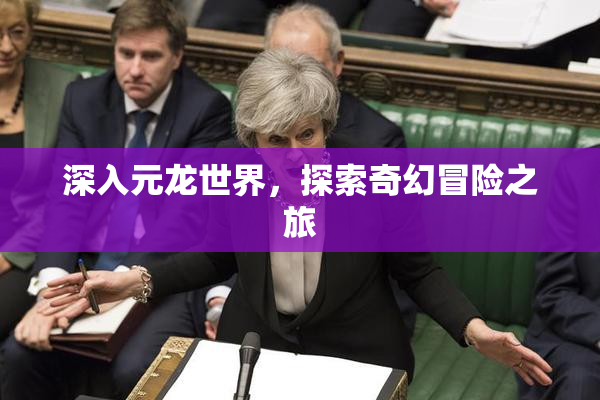 深入元龙世界，探索奇幻冒险之旅