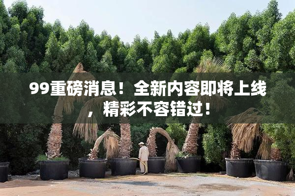 99重磅消息！全新内容即将上线，精彩不容错过！