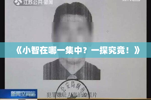 《小智在哪一集中？一探究竟！》