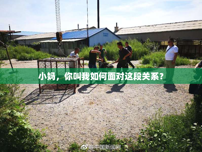 小妈，你叫我如何面对这段关系？