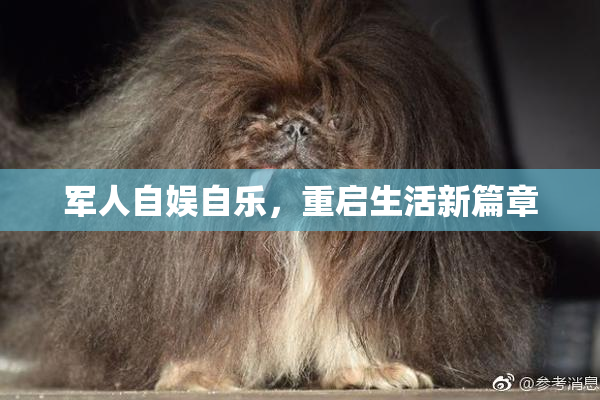 军人自娱自乐，重启生活新篇章